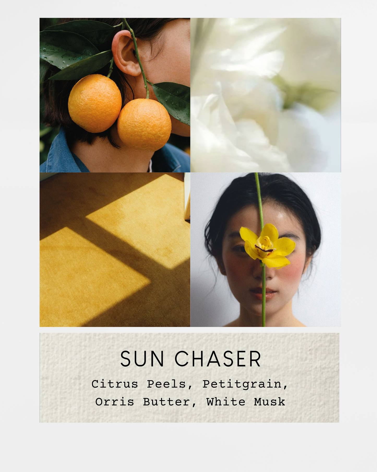 Sun Chaser Perfume