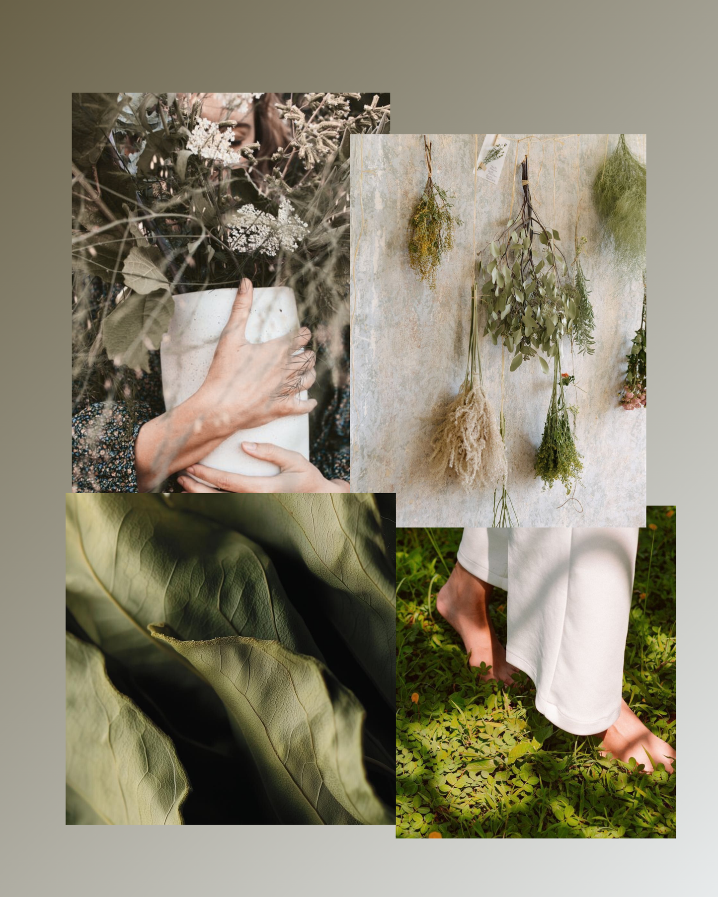 Botanika 03 Room and Linen Spray